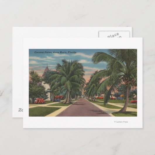 Anna Maria, Florida - View of Palms Along通り ポストカード (正面/裏面)