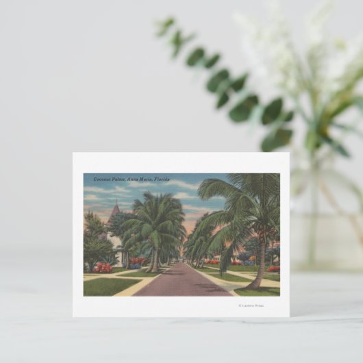 Anna Maria, Florida - View of Palms Along通り ポストカード (スタンド正面)