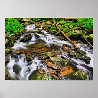 Anna Ruby Tumblesポスター ポスター