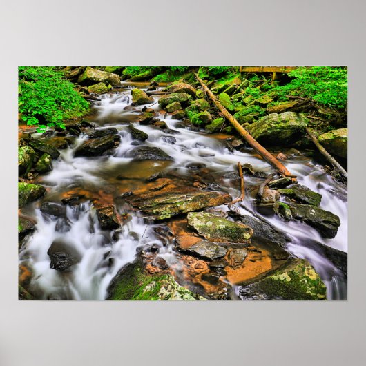 Anna Ruby Tumblesポスター ポスター (正面)