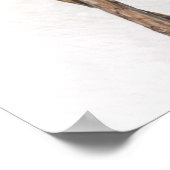 Anna,s Hummingbird Colorful ポスター (角)