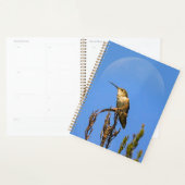 Anna’s Hummingbird Perched Against Full Moon Photo プランナー手帳 (ディスプレー)