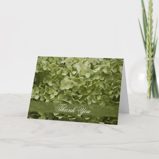 Annabelleの緑のアジサイは感謝していしています サンキューカード (正面)