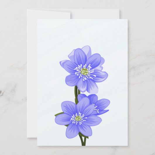 Annaprashan Ceremony Invitations  招待状 (裏面)