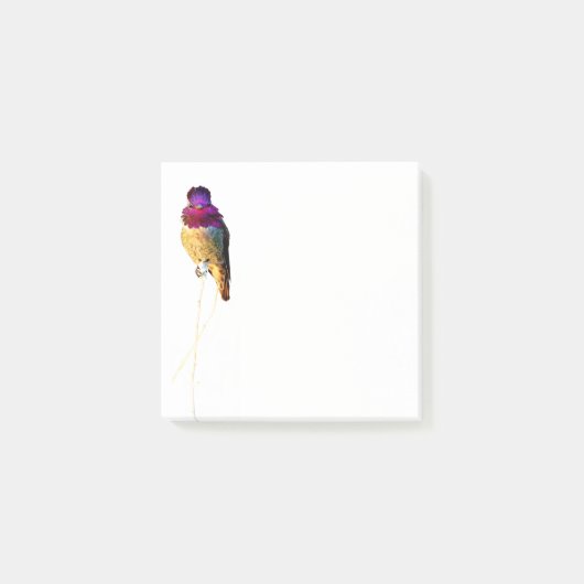 Anna's Hummingbird写真3x3メモ帳 ポストイット (正面)
