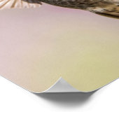 Anna's Hummingbird美しいピンク、紫、緑 ポスター (角)