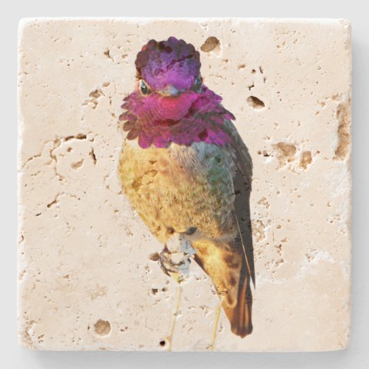 Anna's Hummingbird Pink Bird Photo Stone Coaster ストーンコースター (正面)