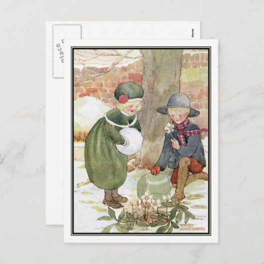 Anne Andersonによるクリスマスバラ シーズンポストカード (正面/裏面)