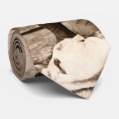 Annie Oakley恋しく思とGun、ヴィンテージ写真ポートレート ネクタイ (ロール)