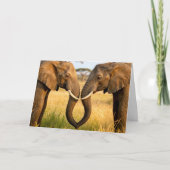 Anniversary African Elephants In Savannah Grass カード (正面)