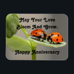 Anniversary Ladybugsフォトマグネット マグネット<br><div class="desc">植物の葉の上に一緒に座っているラディバグのカップルのかわいい写真は、この磁石に特集されている。メッセージで、「あなたの愛の開花と成長を願う。ハッピーアニバーサリー»特別なカップル与えの記念日に甘いプレゼント！</div>