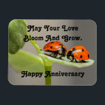 Anniversary Ladybugsフォトマグネット マグネット<br><div class="desc">植物の葉の上に一緒に座っているラディバグのカップルのかわいい写真は、この磁石に特集されている。メッセージで、「あなたの愛の開花と成長を願う。ハッピーアニバーサリー»特別なカップル与えの記念日に甘いプレゼント！</div>