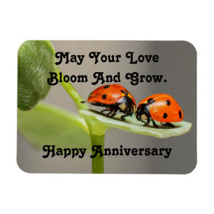 Anniversary Ladybugsフォトマグネット マグネット