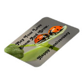 Anniversary Ladybugsフォトマグネット マグネット (左側)