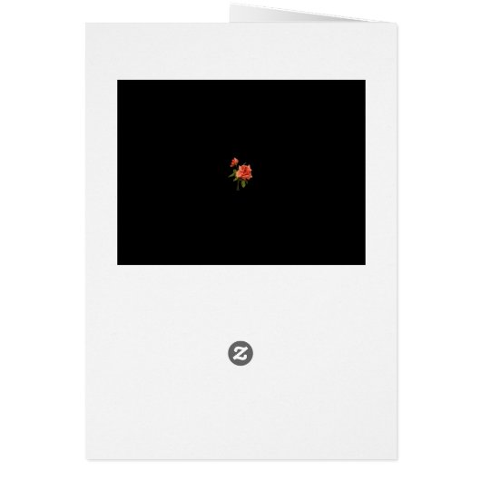 Anniversary Orange Rose (裏面)