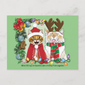 Annual Cat Christmas Photo ポストカード (正面)