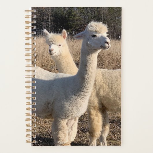 Annual Planner - Alpacas プランナー手帳 (正面)