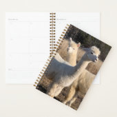 Annual Planner - Alpacas プランナー手帳 (ディスプレー)