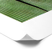 Anoleデュアル ポスター (角)