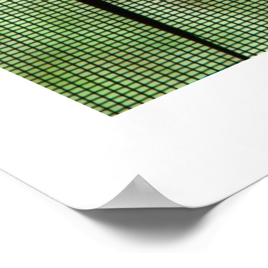 Anoleデュアル ポスター (角)