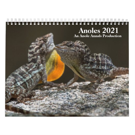 Anole Annals 2021カレンダー カレンダー (カバー)