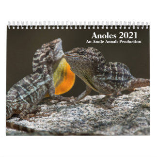 Anole Annals 2021カレンダー カレンダー