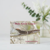 Anole lizardブランチFloridaはがき ポストカード (スタンド正面)