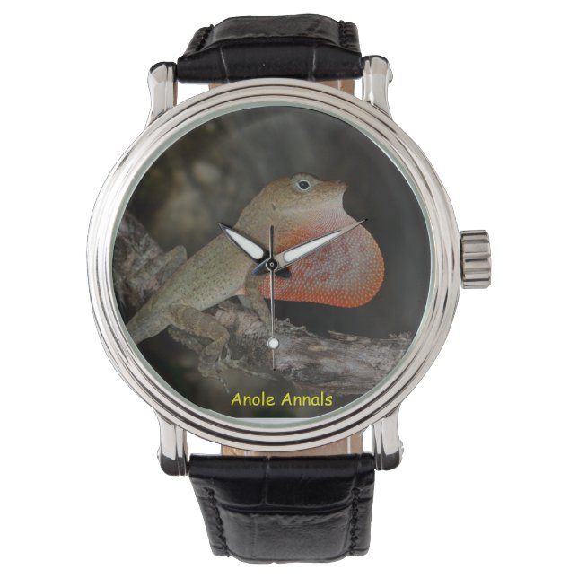 Anole Wristwatch: Anolis marcanoi 腕時計 (正面)