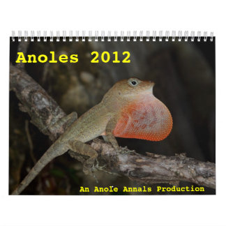 Anoles 2012年 カレンダー
