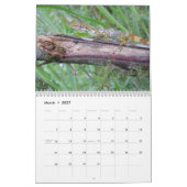 Anoles 2012年 カレンダー (3月 2027)