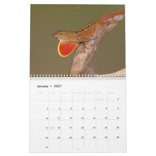 Anoles 2012年 カレンダー (1月 2027)