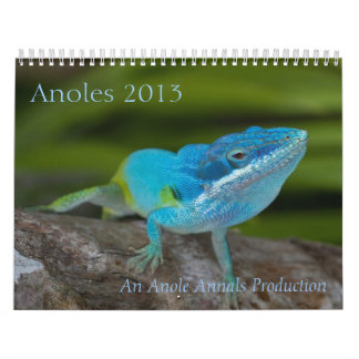 Anoles 2013のカレンダー カレンダー