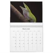 Anoles 2013のカレンダー カレンダー (3月 2026)