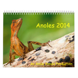 Anoles 2014年 カレンダー
