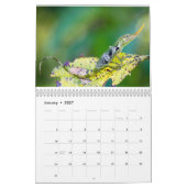 Anoles 2014年 カレンダー (1月 2027)