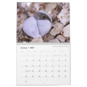 Anoles 2016年- Anoleの史料の生産 カレンダー (1月 2027)