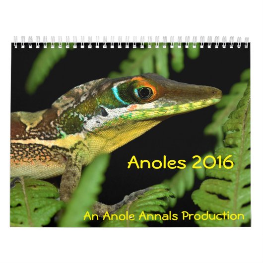 Anoles 2016年- Anoleの史料の生産 カレンダー (カバー)