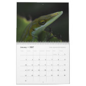 Anoles 2017年- Anoleの史料の生産 カレンダー (1月 2027)