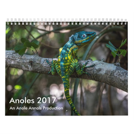 Anoles 2017年- Anoleの史料の生産 カレンダー (カバー)