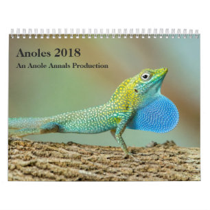 Anoles 2018年- Anoleの史料の生産 カレンダー
