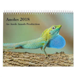 Anoles 2018年- Anoleの史料の生産 カレンダー