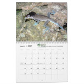 Anoles 2020 - An Anole Annals Production カレンダー (3月 2027)