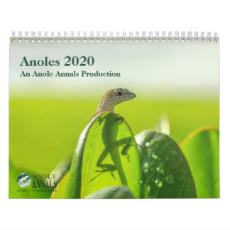 Anoles 2020 - An Anole Annals Production カレンダー
