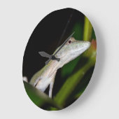 Anolisのoccultusの時計 ラージ壁時計 (傾斜)