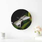 Anolisのoccultusの時計 ラージ壁時計 (ホーム)