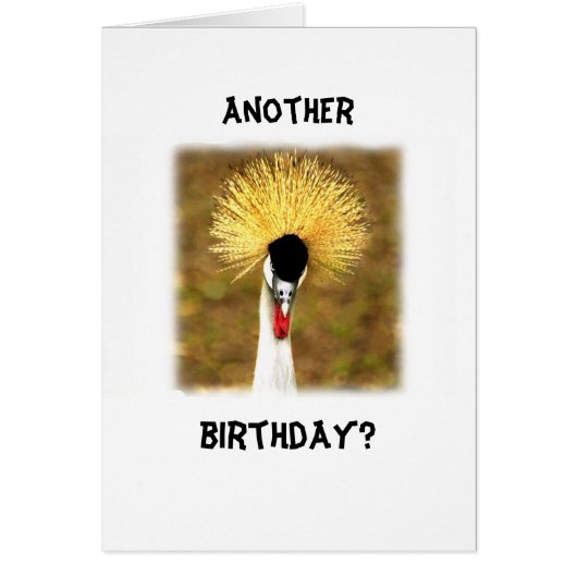 Another Birthday? Card for Senior Citizen (正面)