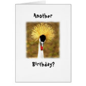 Another Birthday? Wow! Card for Senior Citizen (正面)