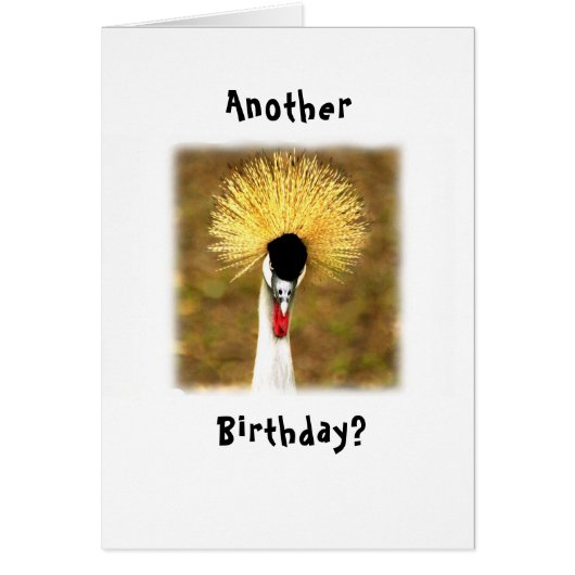 Another Birthday? Wow! Card for Senior Citizen (正面)