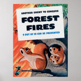 Another Enemy To Conquer Forest Fires ポスター