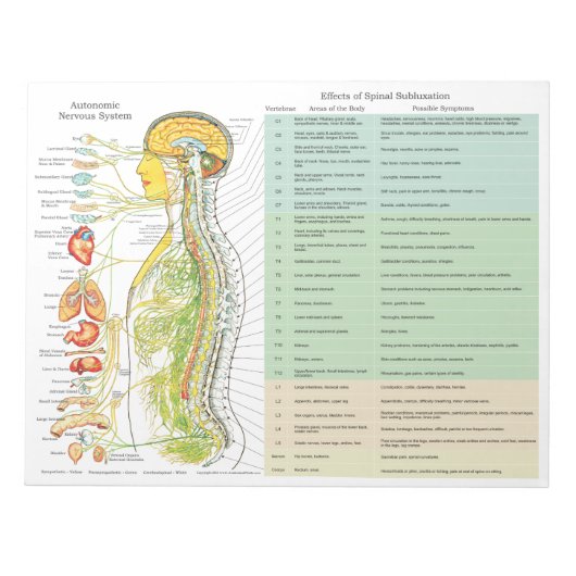 ANSサブルクセンションエフェクト切り取りパッド ノートパッド (正面)